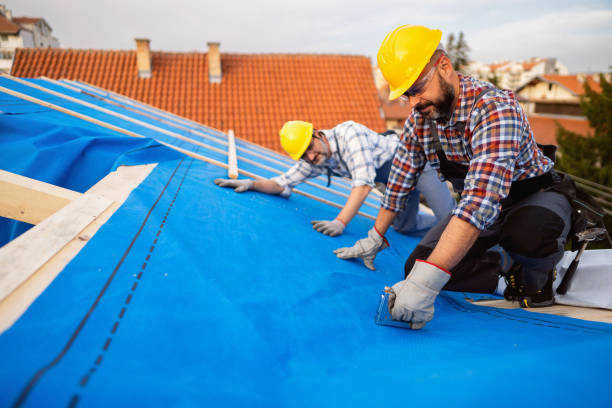 Professional Roofing service in Luck, WI